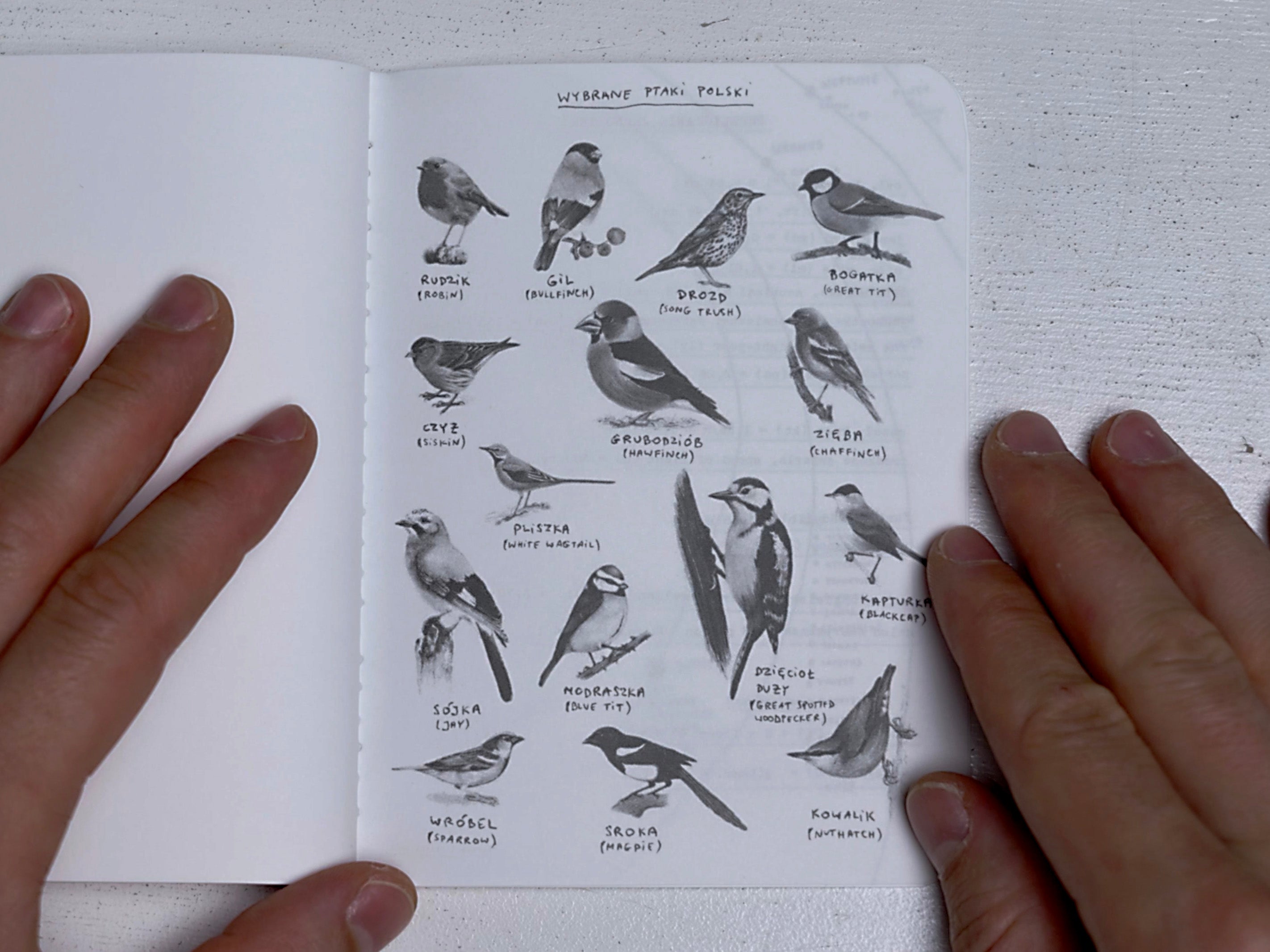 Pakiet Notatników x3